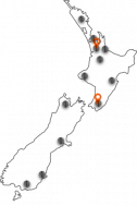nz map